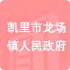 凱里市龍場(chǎng)鎮(zhèn)人民政府招標(biāo)信息