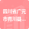 四川省廣元市青川縣大院回族鄉(xiāng)人民政府招標(biāo)信息